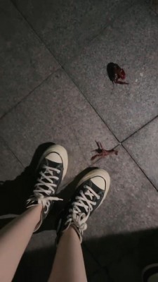 图片[3]_【万一】各种鞋子踩踏碾压小龙虾 bf25203_HD绳艺资源