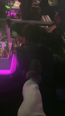 图片[3]_【虫虫】酒吧玩游戏开发调狗 JS23030902_HD绳艺资源