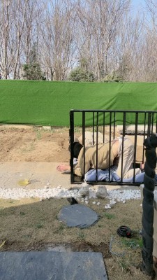 【沅芷大人】15小时囚禁后上刑/圣水/训练 bf25577_HD绳艺资源