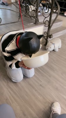 图片[6]_【礼礼大人】驯化-k9喂食极度犬化羞辱【双视角版】 bf25383_HD绳艺资源