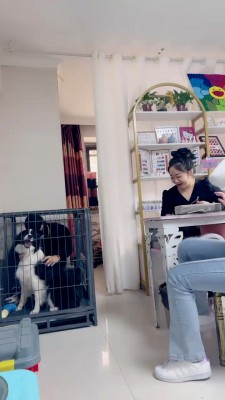 【二宝】真实-美甲店当着技师的面玩狗/关狗笼/强迫喝洗脚水 bf25638_HD绳艺资源