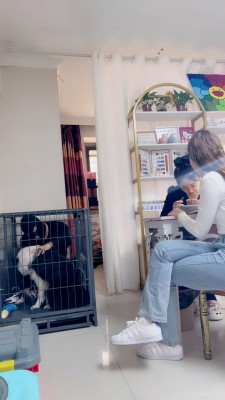 图片[2]_【二宝】真实-美甲店当着技师的面玩狗/关狗笼/强迫喝洗脚水 bf25638_HD绳艺资源