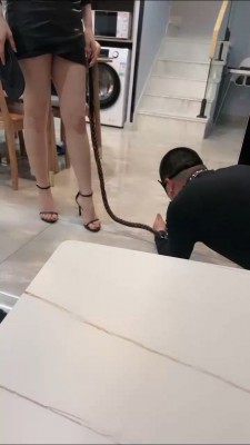 图片[8]_【妆主大大】真实犬化实录-狗盆吃饭/吃真狗粮/高跟凉鞋踩踏 bf25607_HD绳艺资源