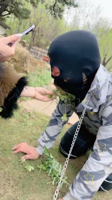 图片[5]_【宸宸】双S户外遛狗-清理脏泥靴底/喝地上脏水【双视角版】bf26780_HD绳艺资源