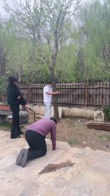 图片[8]_套路直播视频【沅芷大人】双S-绳艺技巧/重度训练/艺术舔脏泥巴鞋底【双视角版】bf26782_HD绳艺资源