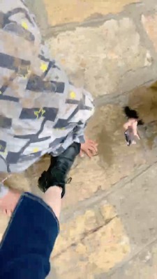 图片[4]_套路直播视频【宸宸】双S户外遛狗-清理脏泥靴底/喝地上脏水【双视角版】bf26780_HD绳艺资源