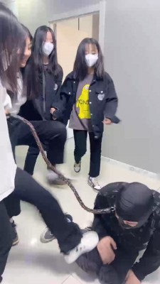 图片[5]_【精神小妹】群调-学生主高难度挑战踢踹/全体重踩踏/转胯喝圣水 bf26612_HD绳艺资源