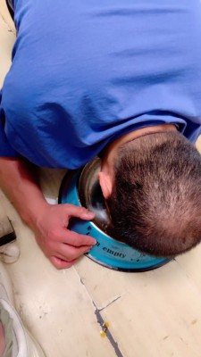 图片[2]_【安可S】圈养生活第四天-户外餐厅脚下喂食【双视角版】 bf27050_HD绳艺资源