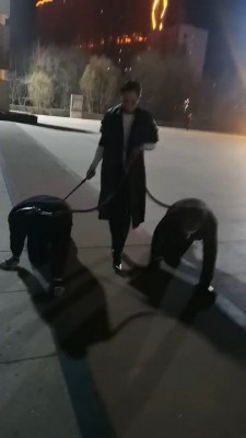 图片[3]_【冷御绳艺导师】高贵绳艺导师户外溜双狗奴 bf26991_HD绳艺资源