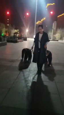 图片[4]_【冷御绳艺导师】高贵绳艺导师户外溜双狗奴 bf26991_HD绳艺资源