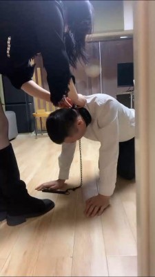 【coco】双奴争宠应聘专属狗狗职位 bf27389_HD绳艺资源