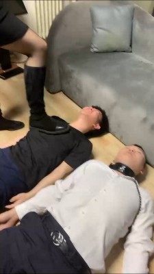 图片[8]_【coco】双奴争宠应聘专属狗狗职位 bf27389_HD绳艺资源