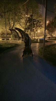 图片[7]_【傲雪】深夜户外遛狗犬化训练 bf27150_HD绳艺资源