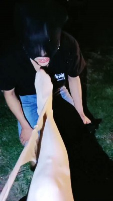 图片[2]_【bibi团】户外遛狗艺术舔脏鞋 JS23050301_HD绳艺资源