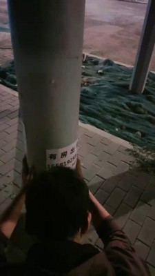 图片[2]_【鹿梦兮】户外让狗下跪舔鞋/转胯 bf28343_HD绳艺资源