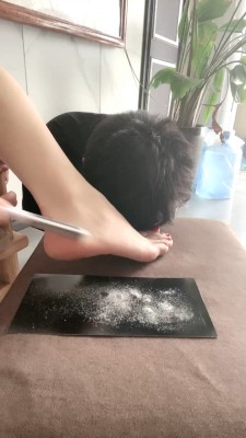 图片[2]_【沅芷大人】刮脚皮让贱狗吃掉 bf28265_HD绳艺资源