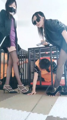 图片[3]_【媚娘S】姐妹狗笼圈养双狗-全体重踩踏【双视角版】 JS23051706_HD绳艺资源