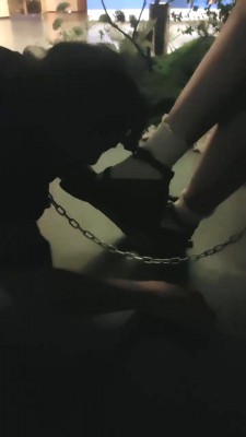 图片[5]_【欣欣】深夜户外调-狗链遛狗爬行/骑脖子/吃袜子转胯【完整版】 bf28455_HD绳艺资源