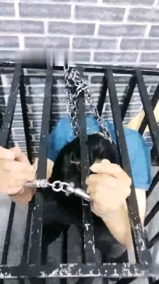 图片[2]_【静雅工作室】地牢绳艺技巧囚禁重刑圈养狗【完整版】 JS23051605_HD绳艺资源