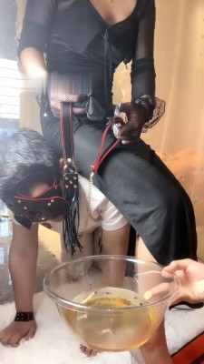 【艳狸】双S-强迫狗喝圣水泡烟头/高跟踩踏 bf28446_HD绳艺资源