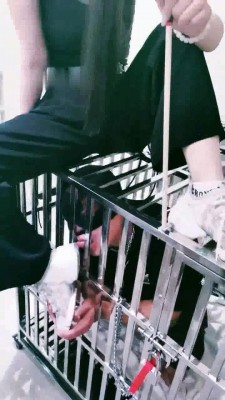 【茹雪】美甲店的秘密-双主VS双奴-狗笼圈养/虐踩舌（双视角）_HD绳艺资源