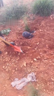 图片[3]_【cc.s】情侣主埋绿帽贱奴_HD绳艺资源