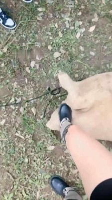 图片[6]_【沅芷大人】4S户外处刑-麻袋套-高难度挑战训练/踢踹_HD绳艺资源