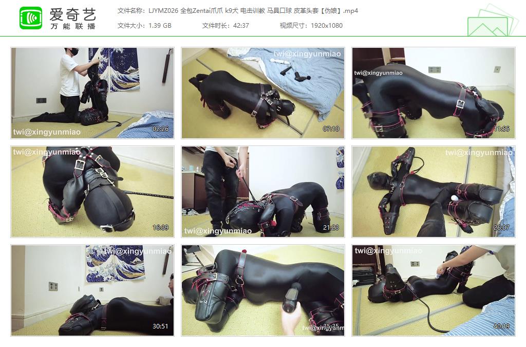 【鹿角与猫爪】 全包Zentai伪娘爪爪 k9犬训练 训练道具艺术装置皮革头套_HD绳艺资源