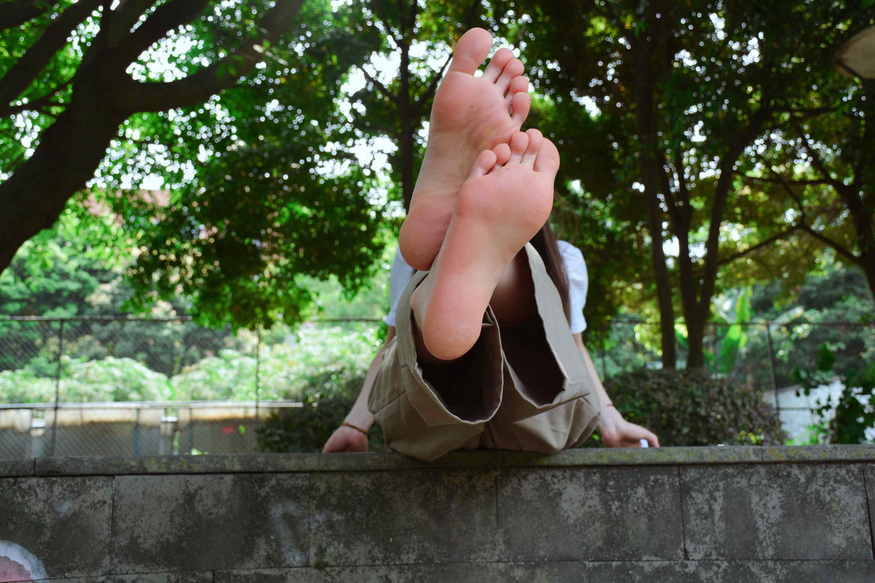 图片[7]_[织梦映像]校园游记-春花秋月何时了_HD绳艺资源