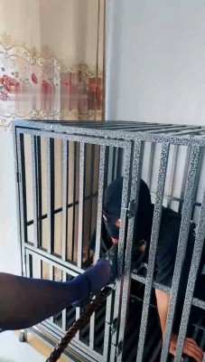 图片[2]_【爵恋霸主】黑丝高跟-狗笼圈养无脑大学生_HD绳艺资源