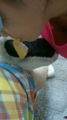 图片[7]_【爱可呀】母畜-毛拖鞋白袜踩/脚踩喂食/叼袜子_HD绳艺资源