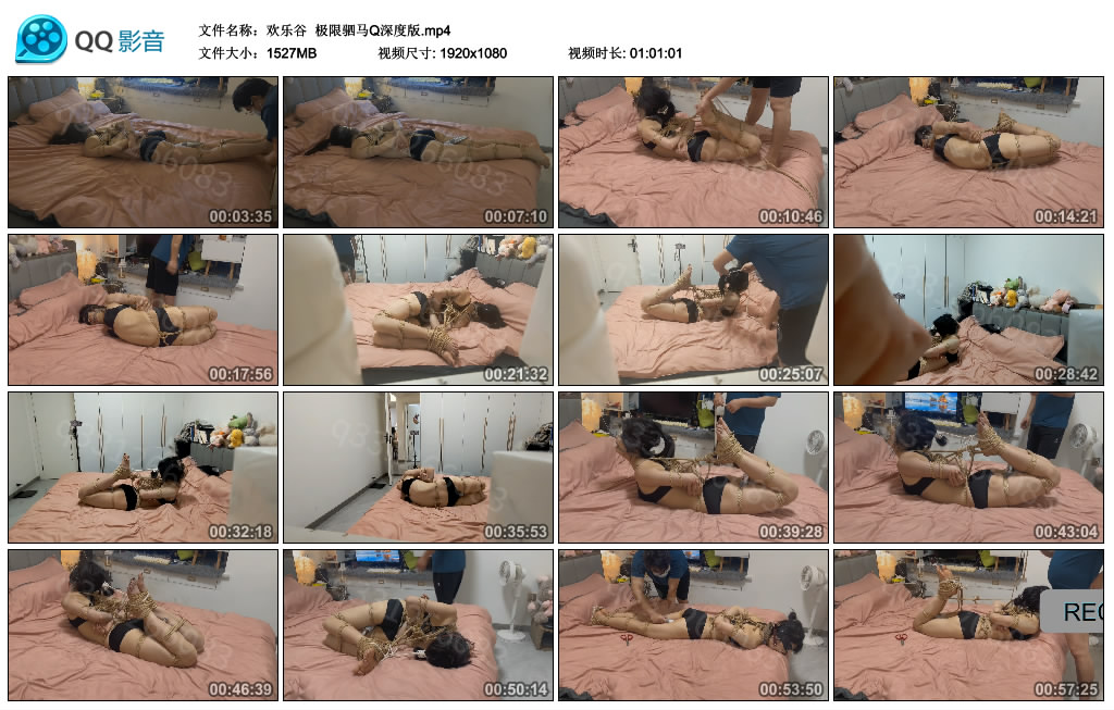 【欢乐谷】 极限驷马Q深度版_HD绳艺资源