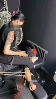 图片[2]_【冰诺】绳艺技巧刑椅丝袜塞嘴虐打_HD绳艺资源