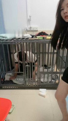 【木子大大】囚禁狗笼脚踩喂食_HD绳艺资源