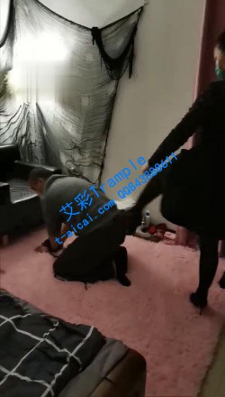 图片[1]_【糖糖S】3S:小萝莉将色狼锁厕所，成三姐妹马桶【双视角】_HD绳艺资源