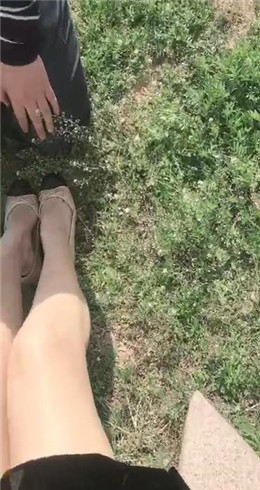 图片[1]_若依 户外春天的微风里遛遛家奴_HD绳艺资源