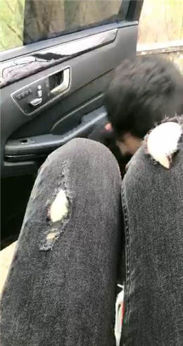 图片[1]_亿梦 带狗春游_HD绳艺资源