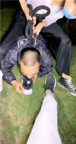 图片[1]_杨十二 野外遛狗_HD绳艺资源