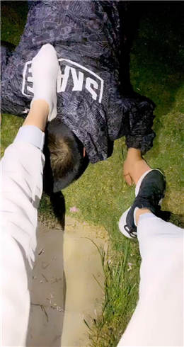 图片[1]_杨十二 野外遛狗_HD绳艺资源