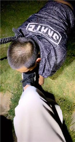 图片[1]_杨十二 野外遛狗_HD绳艺资源