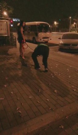 图片[1]_诺曦 带着自家的宠物出门遛弯_HD绳艺资源