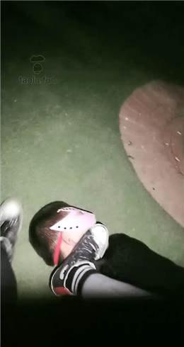 图片[1]_甜心 户外黄河边遛狗_HD绳艺资源