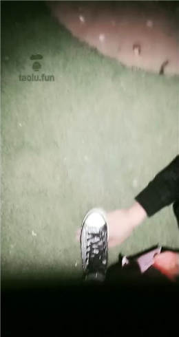 图片[1]_甜心 户外黄河边遛狗_HD绳艺资源