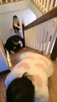 图片[2]_【果儿S】双S-情侣奴-奴下奴-舔脏鞋/爬行虐/臭脚捂脸【双视角版】_HD绳艺资源