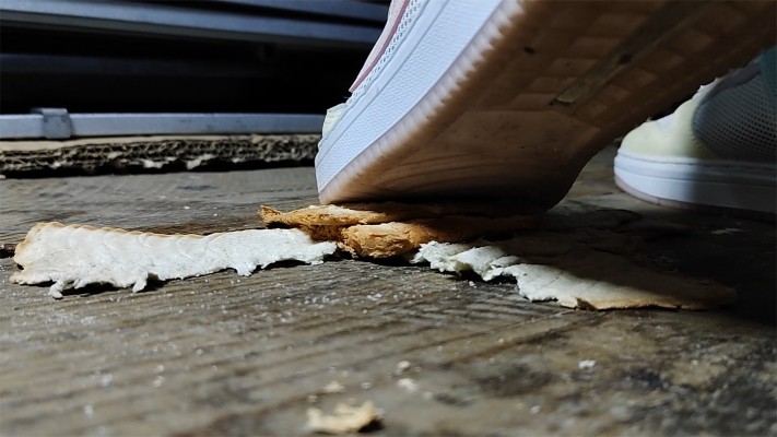 图片[2]_10分钟全语言羞辱运动鞋踩面包、喂食&长期圈养_HD绳艺资源