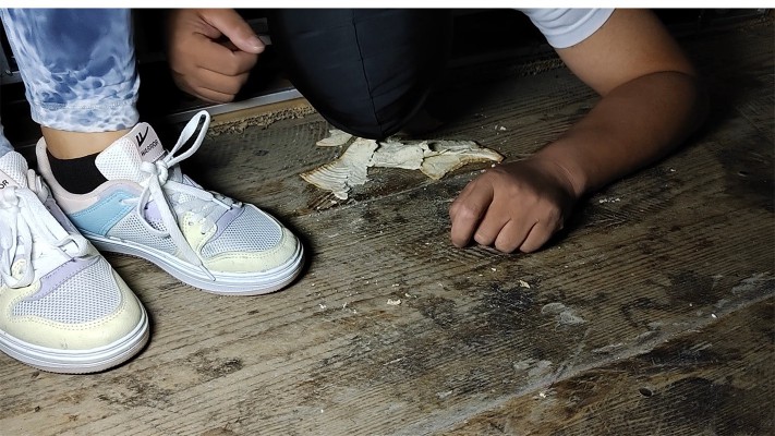 图片[8]_10分钟全语言羞辱运动鞋踩面包、喂食&长期圈养_HD绳艺资源