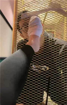 图片[2]_【汐言】绳艺技巧展示主题酒店笼中圈养狗奴_HD绳艺资源