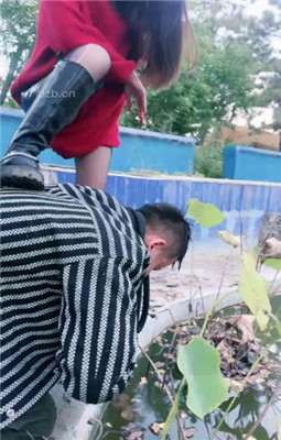 图片[3]_【宸宸】狗奴才清理庄园池塘_HD绳艺资源