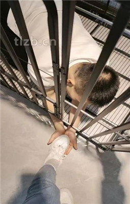 图片[4]_【悦主大大】圈养奴化-转胯骑马-囚禁狗笼-舔白袜裸足_HD绳艺资源