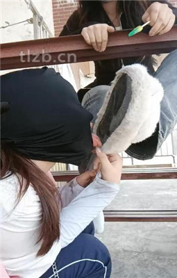 图片[9]_【爱可呀】在天台玩弄你们女神_HD绳艺资源